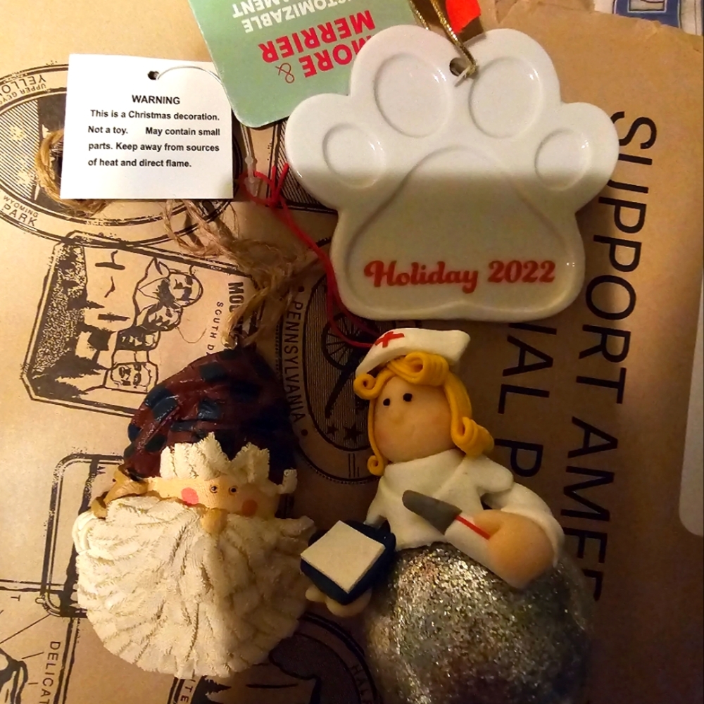 Dog, Santa, and Nurse Ornaments